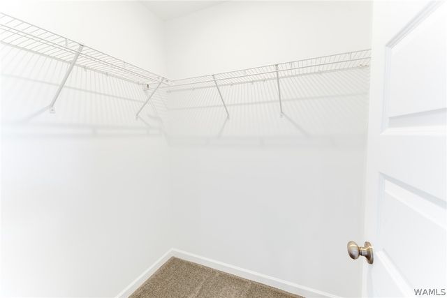 14381 Bellflower, Tuscaloosa, AL 35405