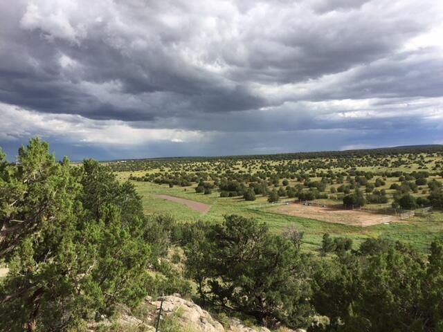 117 VISTA MONTANA Road, Estancia, NM 87016