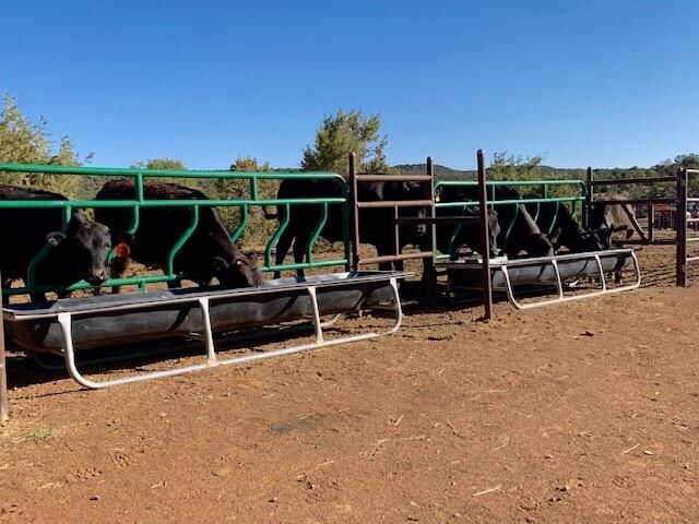 117 VISTA MONTANA Road, Estancia, NM 87016