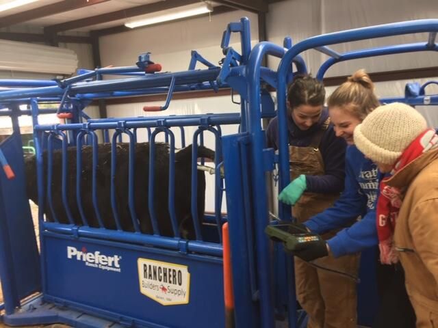 117 VISTA MONTANA Road, Estancia, NM 87016