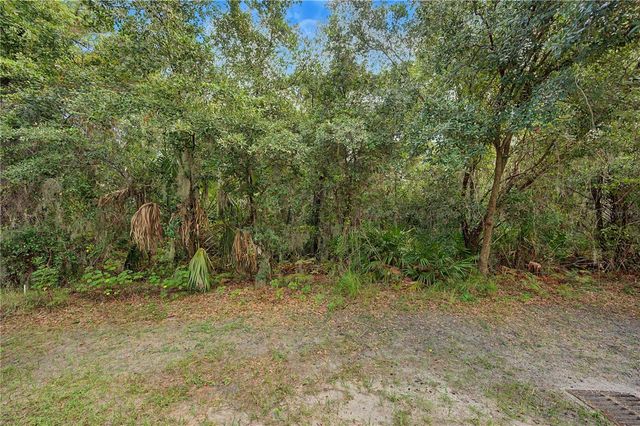 6914 HOLLY HEATH DRIVE, Riverview, FL 33578