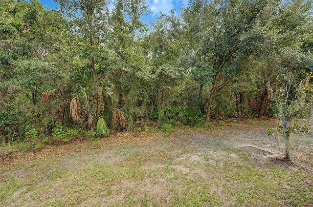 6914 HOLLY HEATH DRIVE, Riverview, FL 33578