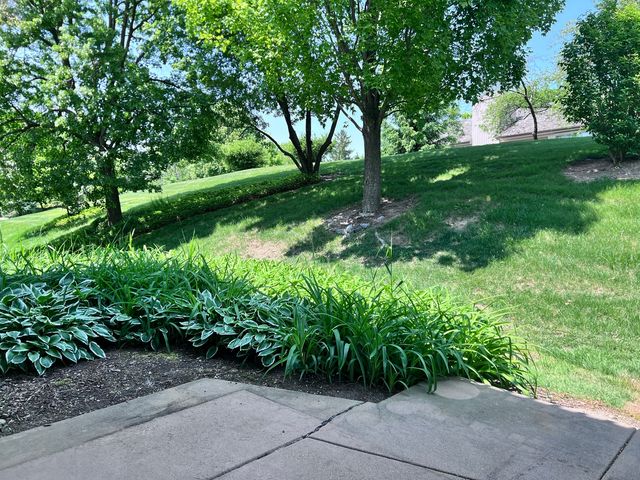 78 Foxwood Lane C, Lake Barrington, IL 60010