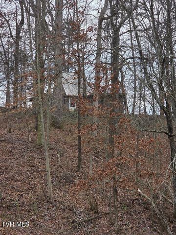 965 Mcmillan Road, Midway, TN 37809