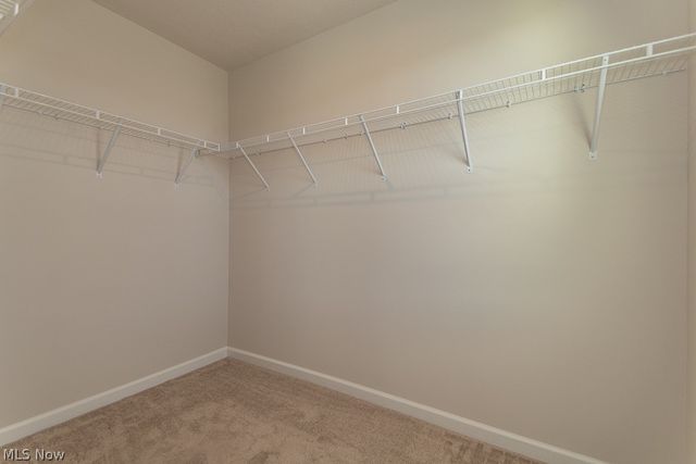 578 Cherrywood Lane, Painesville, OH 44077