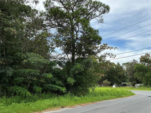 LOT 1 PINE RADIAL RUN, Ocala, FL 34472