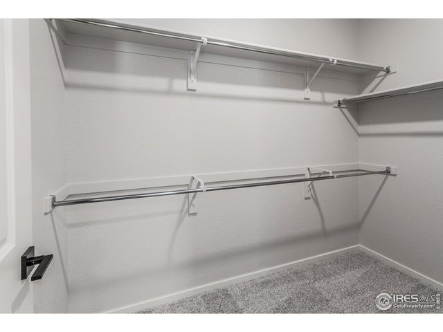 1811 Bounty Dr 8, Windsor, CO 80550