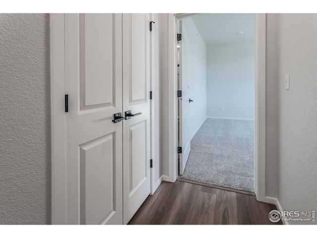 1811 Bounty Dr 8, Windsor, CO 80550