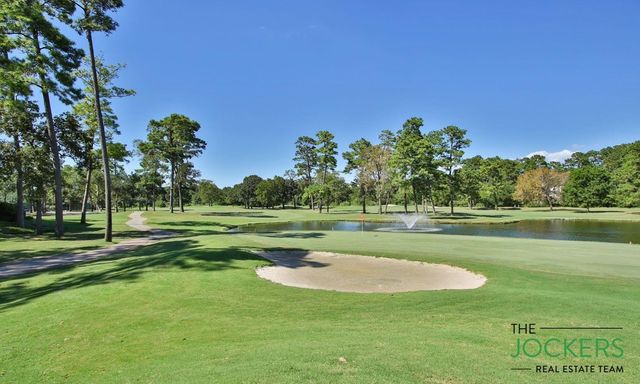 17314 Cedar Placid Lane, Houston, TX 77068