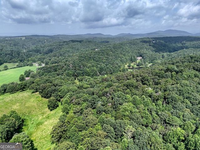 45 K D Lane, Ellijay, GA 30540