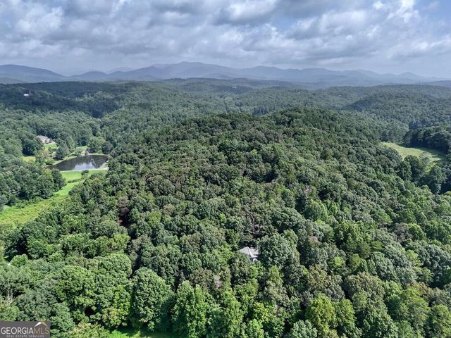 45 K D Lane, Ellijay, GA 30540