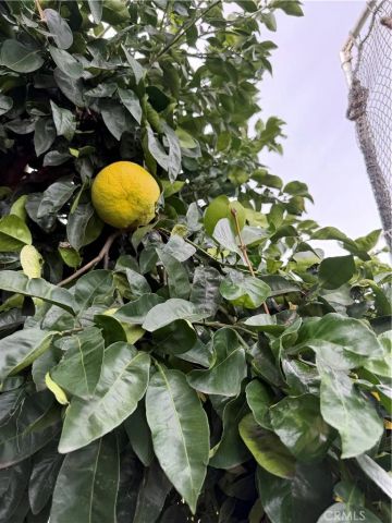 10500 Frontier, Cherry Valley, CA 92223