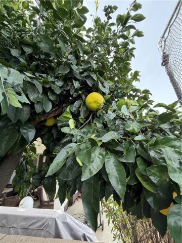 10500 Frontier, Cherry Valley, CA 92223