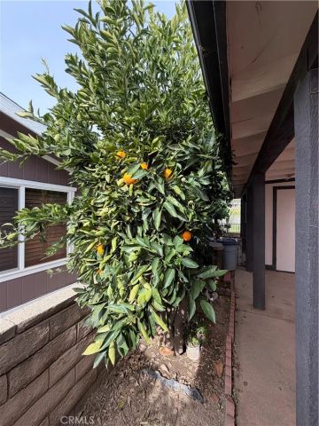 10500 Frontier, Cherry Valley, CA 92223