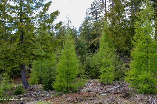 Est Lot 8 Camp Bay Estates, Sagle, ID 83860
