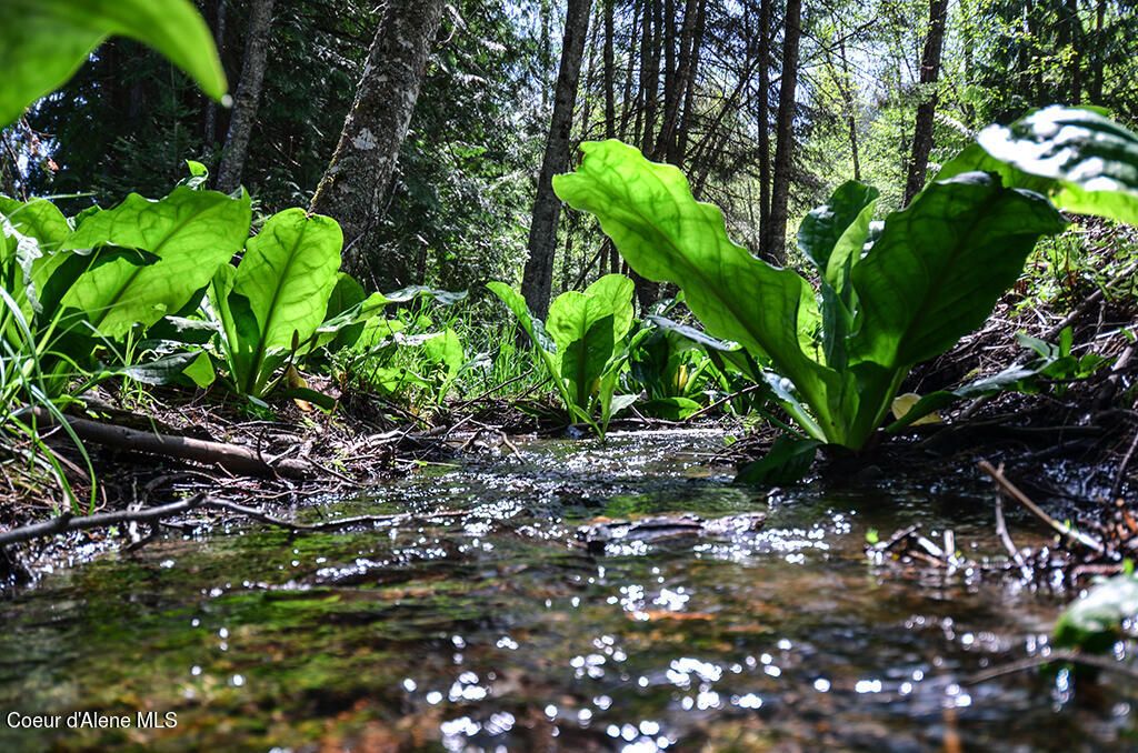 Est Lot 8 Camp Bay Estates, Sagle, ID 83860 photo 21