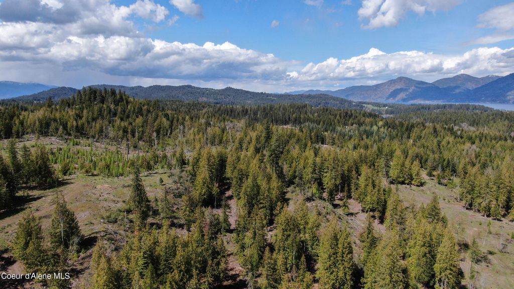 Est Lot 8 Camp Bay Estates, Sagle, ID 83860 photo 9