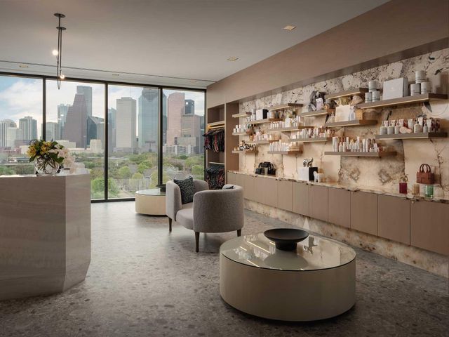 1711 Allen Parkway 2701, Houston, TX 77019