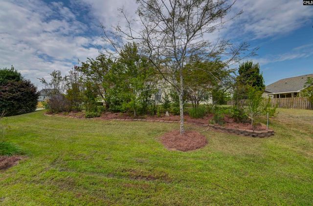 426 Crawley Lane, Chapin, SC 29036