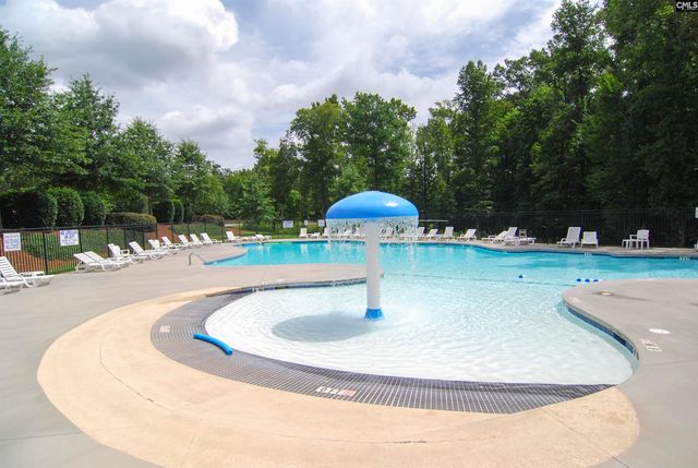 426 Crawley Lane, Chapin, SC 29036