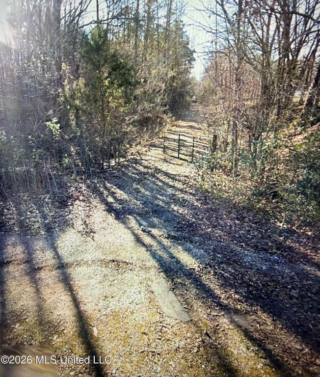 0 Deer Creek Road, Byhalia, MS 38611 — photo 2