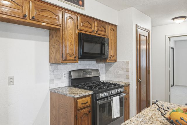 1309 Sandy Creek Drive, Allen, TX 75002