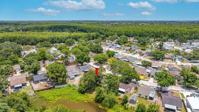 12360 WITHERIDGE DRIVE, Tampa, FL 33624