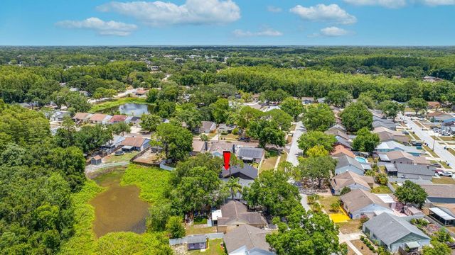 12360 WITHERIDGE DRIVE, Tampa, FL 33624
