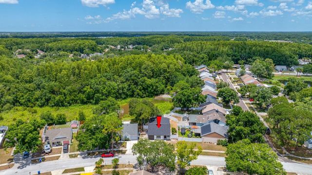 12360 WITHERIDGE DRIVE, Tampa, FL 33624