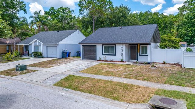 12360 WITHERIDGE DRIVE, Tampa, FL 33624