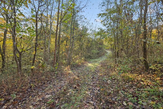 0 W Sheepneck Rd, Mount Pleasant, TN 38474