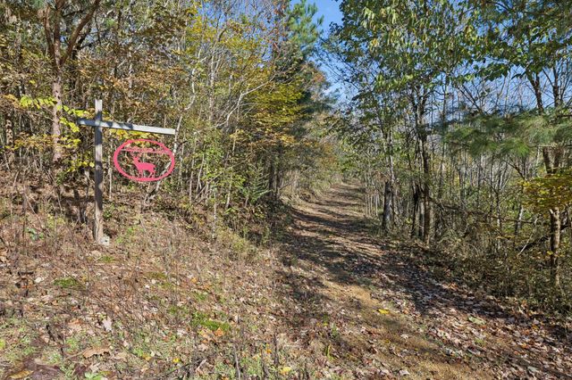 0 W Sheepneck Rd, Mount Pleasant, TN 38474