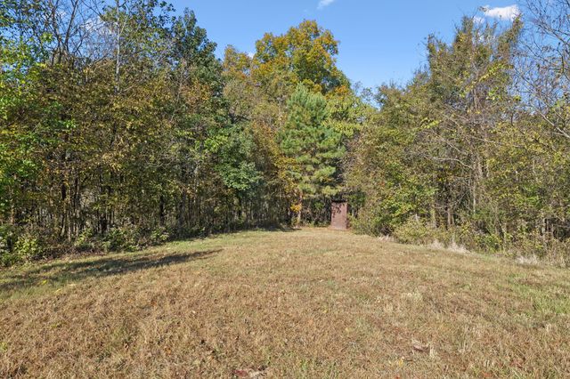 0 W Sheepneck Rd, Mount Pleasant, TN 38474