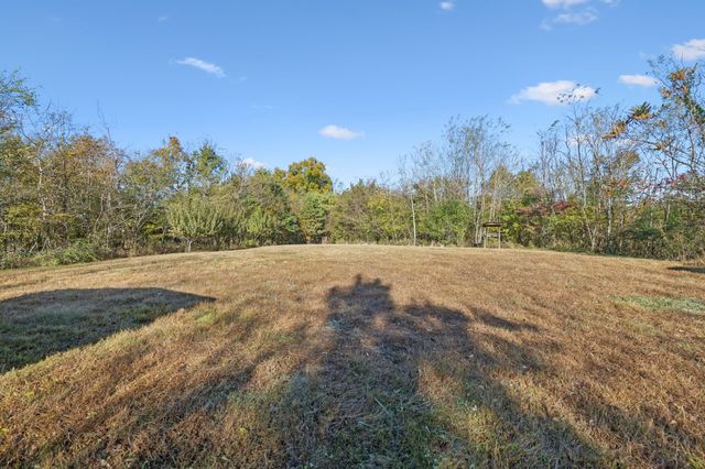 0 W Sheepneck Rd, Mount Pleasant, TN 38474