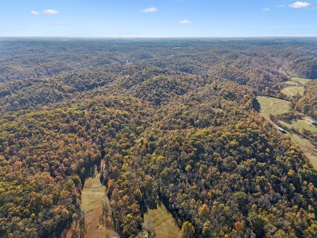 0 W Sheepneck Rd, Mount Pleasant, TN 38474