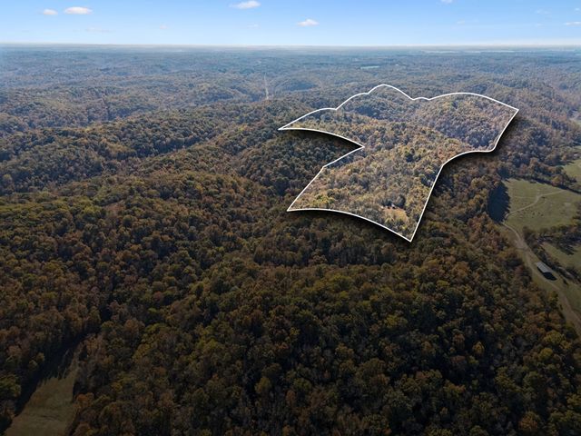 0 W Sheepneck Rd, Mount Pleasant, TN 38474