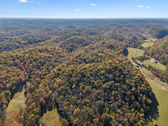 0 W Sheepneck Rd, Mount Pleasant, TN 38474