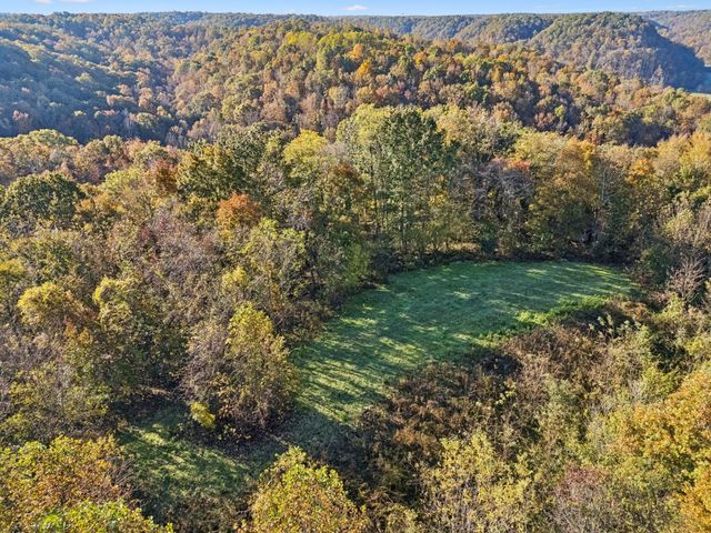 0 W Sheepneck Rd, Mount Pleasant, TN 38474