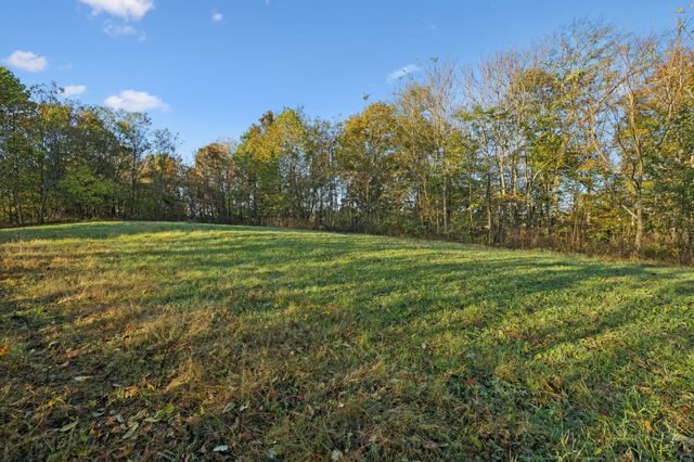 0 W Sheepneck Rd, Mount Pleasant, TN 38474
