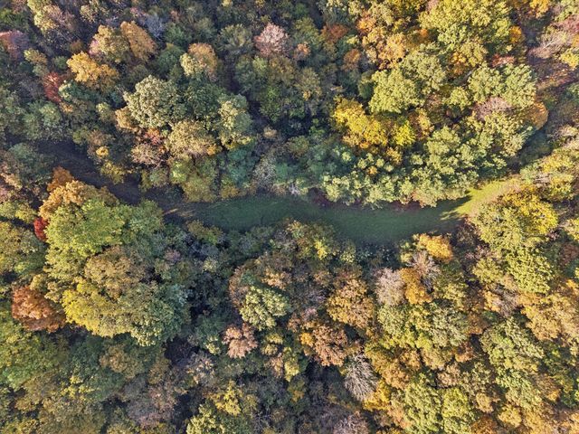 0 W Sheepneck Rd, Mount Pleasant, TN 38474