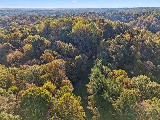 0 W Sheepneck Rd, Mount Pleasant, TN 38474