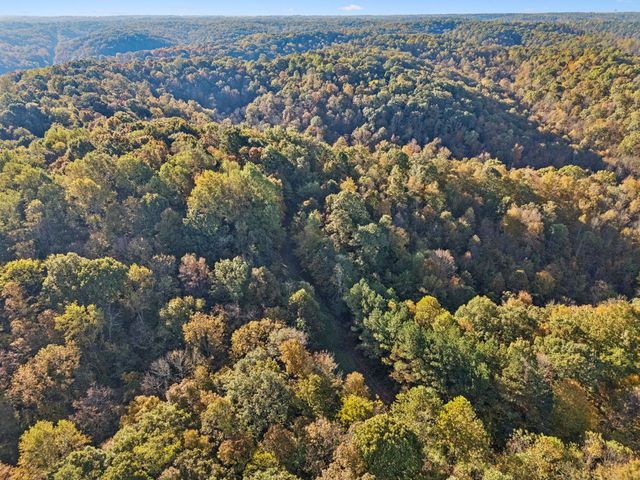 0 W Sheepneck Rd, Mount Pleasant, TN 38474