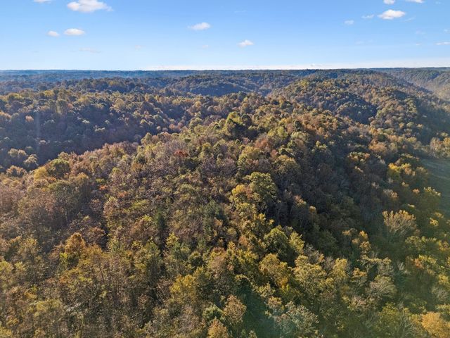 0 W Sheepneck Rd, Mount Pleasant, TN 38474