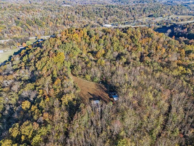 0 W Sheepneck Rd, Mount Pleasant, TN 38474