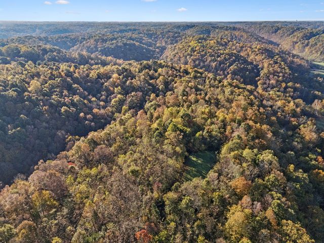 0 W Sheepneck Rd, Mount Pleasant, TN 38474