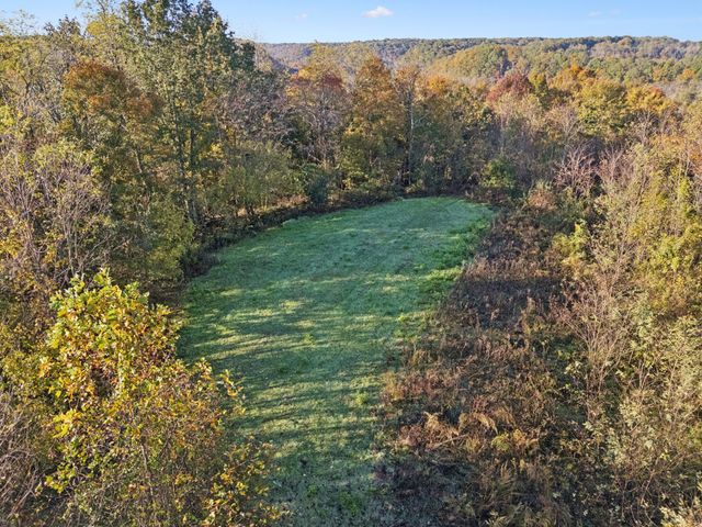 0 W Sheepneck Rd, Mount Pleasant, TN 38474