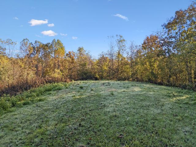 0 W Sheepneck Rd, Mount Pleasant, TN 38474