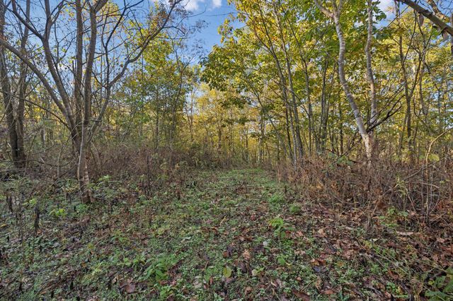 0 W Sheepneck Rd, Mount Pleasant, TN 38474