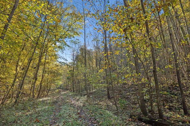 0 W Sheepneck Rd, Mount Pleasant, TN 38474