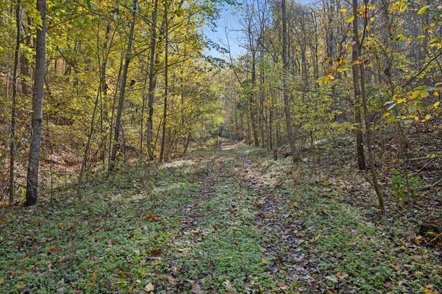 0 W Sheepneck Rd, Mount Pleasant, TN 38474